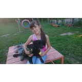 Собака - 16.jpg Собака - 16.jpg